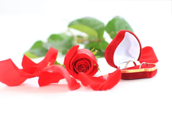 Ένα τριαντάφυλλο και ένα κουτί με δαχτυλίδια — Φωτογραφία Αρχείου