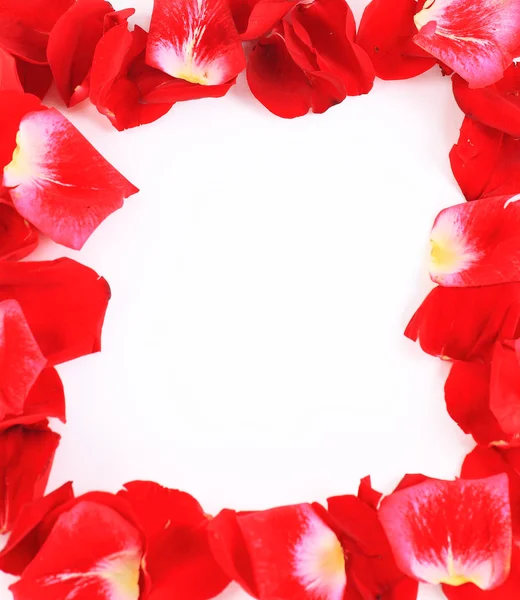 Rahmen aus schönen Rosenblättern — Stockfoto