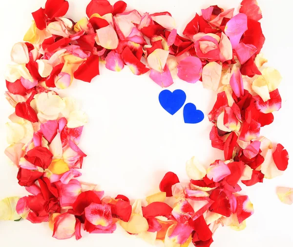 Cornice di bellissimi petali di rose — Foto Stock