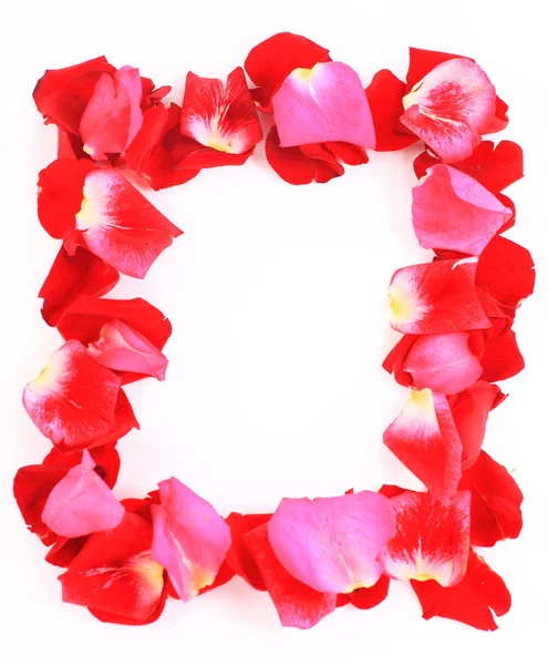 Cornice di bellissimi petali di rose — Foto Stock
