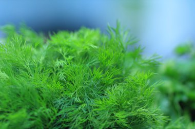 çeşitli lezzetli mutfak ürünleri.