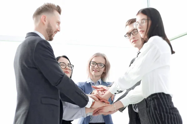 Бізнес команда показує свою єдність, стоячи в офісі — стокове фото