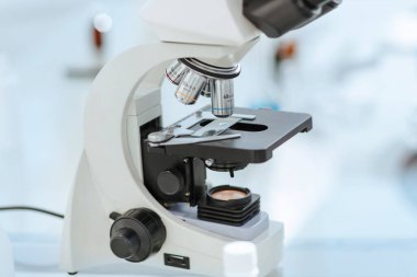 Kapat. örnek cam üzerinde mikroskop altında.