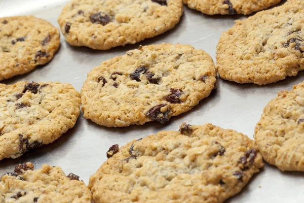 Fresh homemade cookies on baking sheet — Stock Photo, Image