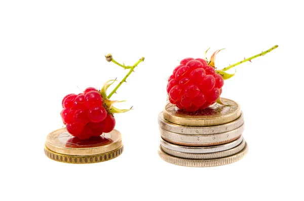 Isolated on white two raspberry on euro coins — Stock Photo, Image