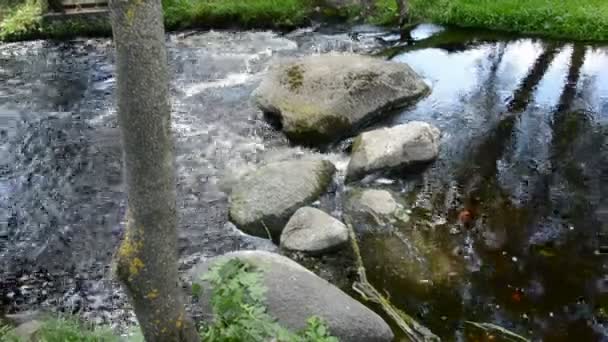 Zomer rivier stream met stenen — Stockvideo