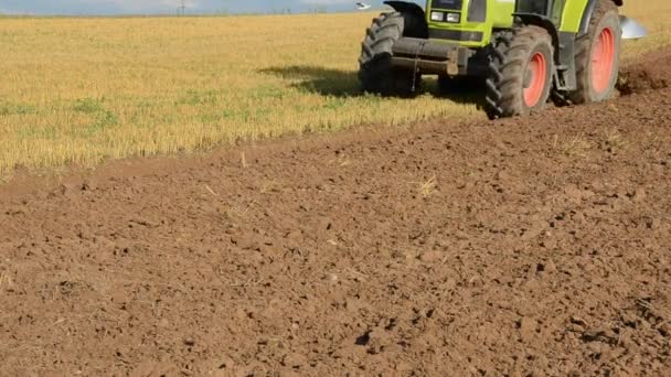 Traktor i sommar första jordbearbetning — Stockvideo