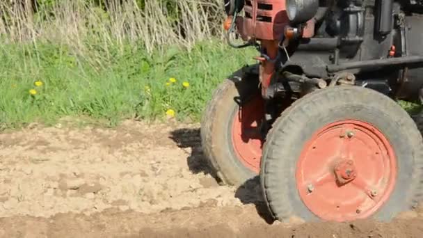 Alter Traktor pflanzt Kartoffeln — Stockvideo