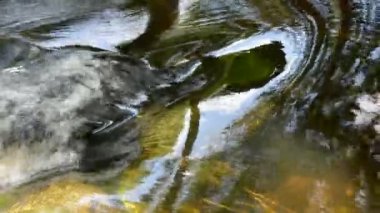 temiz yaz nehrin akış arka plan