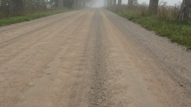 Route de gravier et brouillard matinal — Video