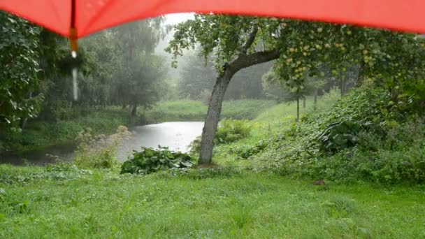 Καλοκαίρι ημέρα βροχή και κόκκινη ομπρέλα — Αρχείο Βίντεο