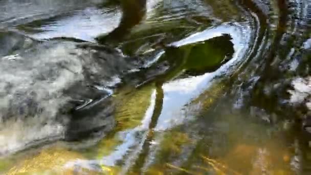 Fondo limpio arroyo río verano — Vídeo de stock