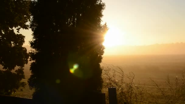 Schöner Sonnenaufgang und Morgennebel — Stockvideo