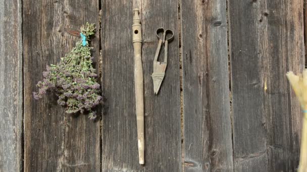 Colgar racimos de hierbas y trigo en la pared de madera — Vídeo de stock