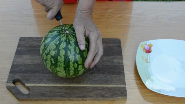 Abuela manos cortar sandía — Vídeos de Stock