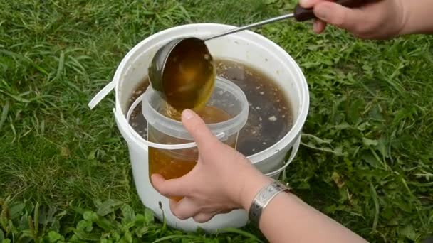 Zomer vloeibare honing in de emmer en handen — Stockvideo