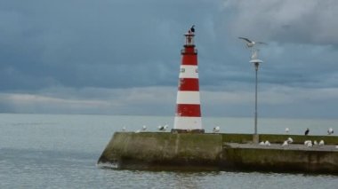 ligthouse ve kuşlar ile defne deniz İskelesi