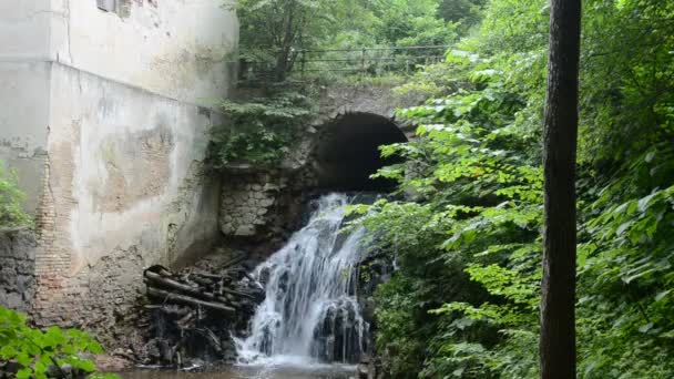 Ruinas históricas del molino de agua y cascada — Vídeos de Stock