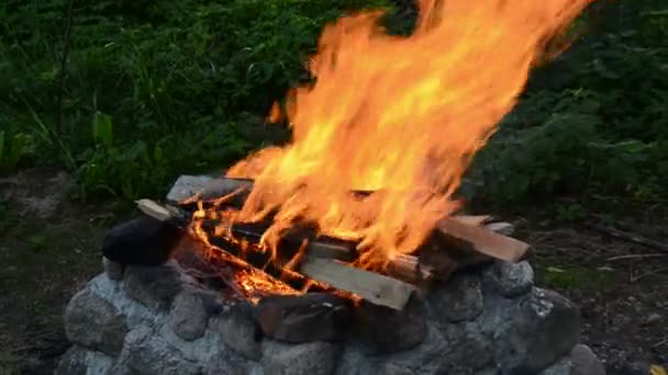 Evening fire in the garden — Stock Video