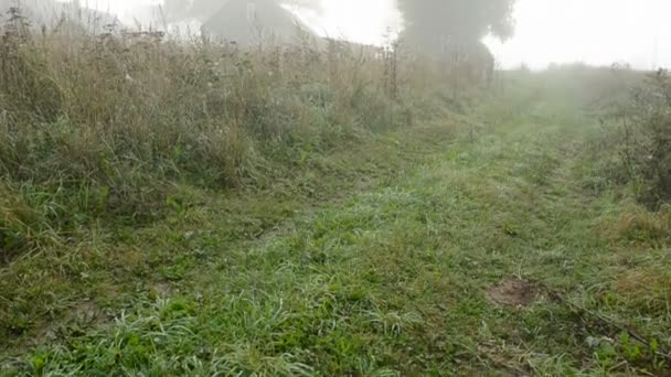 Nebbia estiva mattutina nel villaggio — Video Stock