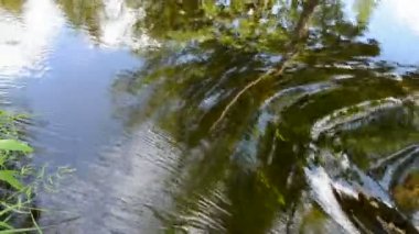 soyut yaz nehrin akış arka plan