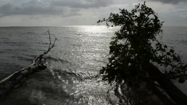 Karanlık ve bulutlu deniz manzara — Stok video