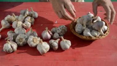 Bahçe masa üzerine sarımsak hasat
