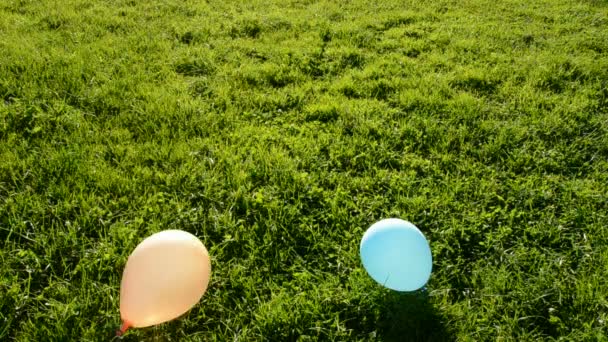 Ballonnen vlucht in het avond licht en groen gras — Stockvideo