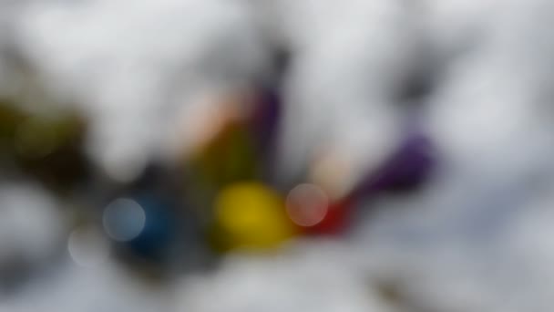 Розмиті великодні символи та сніг — стокове відео
