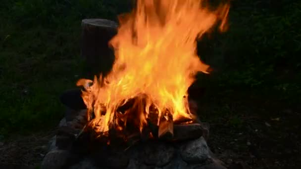 Fuego en el jardín de verano por la noche — Vídeo de stock