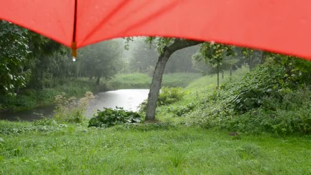 Lluvia de verano y paraguas rojo — Vídeo de stock