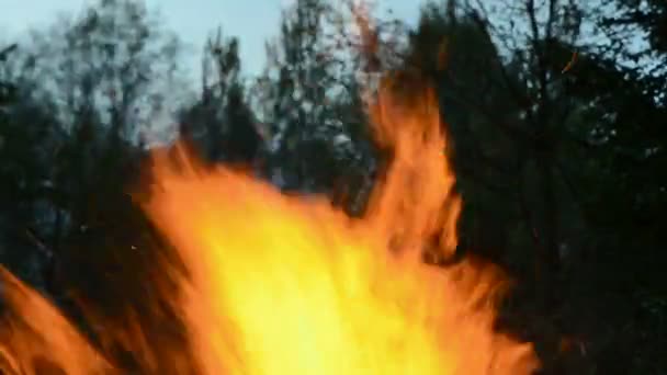 Rozostření pozadí noci ohně plamen — Stock video