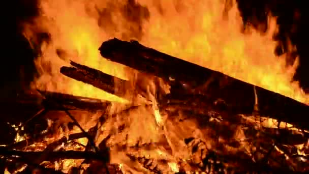 Firewood in the night fire flame — Stock Video