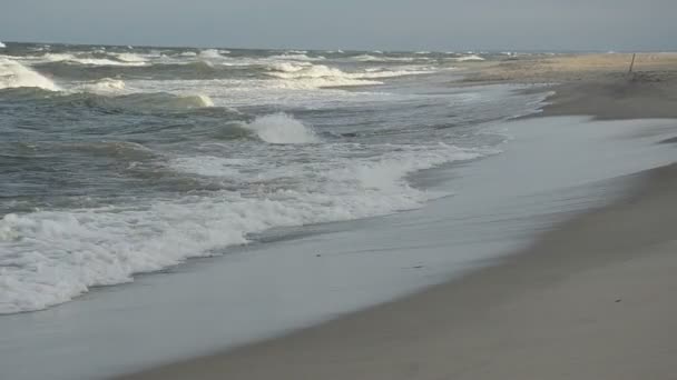 Zee strand landschap in de ochtend en de golven — Stockvideo