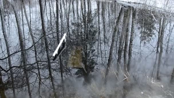 Τέλος χειμώνα λίμνη και δέντρο αντανακλάσεις — Αρχείο Βίντεο
