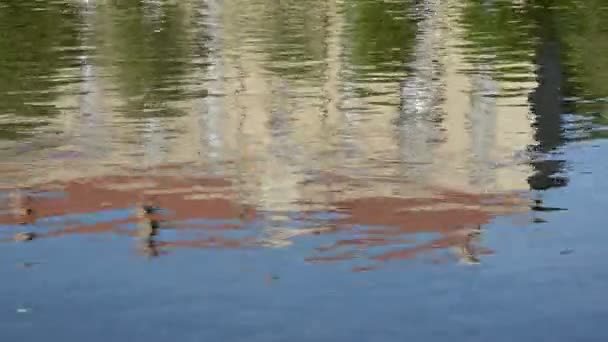 Rivière de la ville ruisseau avec réflexions 