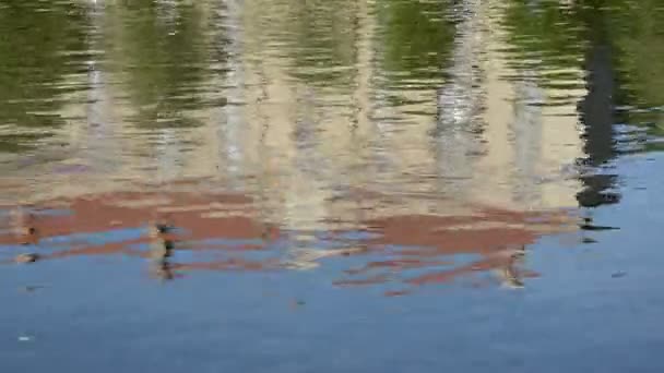 Rivière de la ville ruisseau avec réflexions — Video