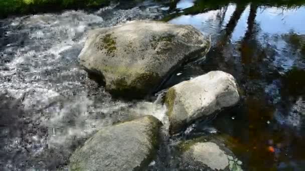 Piedras en el arroyo de agua de verano — Vídeo de stock