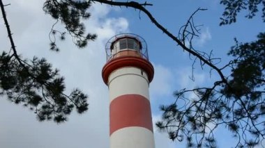 Deniz feneri ve çam dalları üzerinde gökyüzü