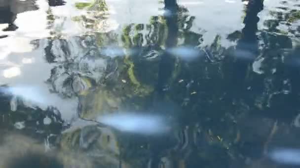 Абстрактний водний фон ставка — стокове відео