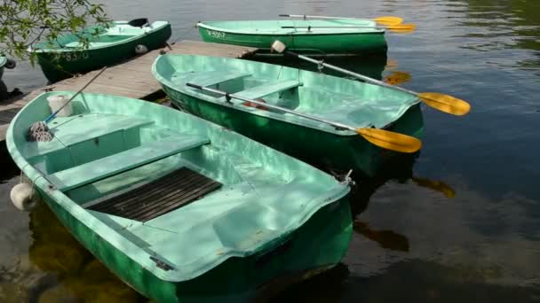 Различные лодки на озере — стоковое видео