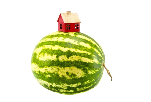 Geïsoleerde watermeloen aarde met rode huis symbool — Stockfoto