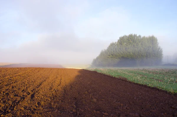 Plöjde gård fältet och morning mist — Stockfoto