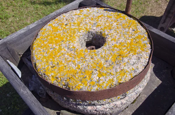 Ancient millstone with lichens — Stock Photo, Image