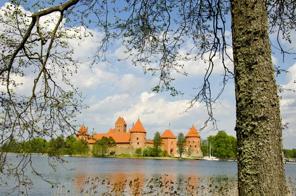 Litauiska medeltida slottet trakai under våren — Stockfoto