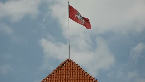 Bandeira histórica lituana no castelo de Trakai — Vídeo de Stock