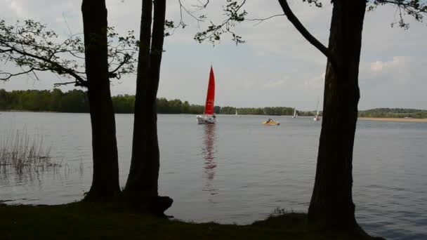 Zeilen op het meer — Stockvideo