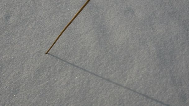 Desenho e escrita palavra amor na neve de inverno — Vídeo de Stock