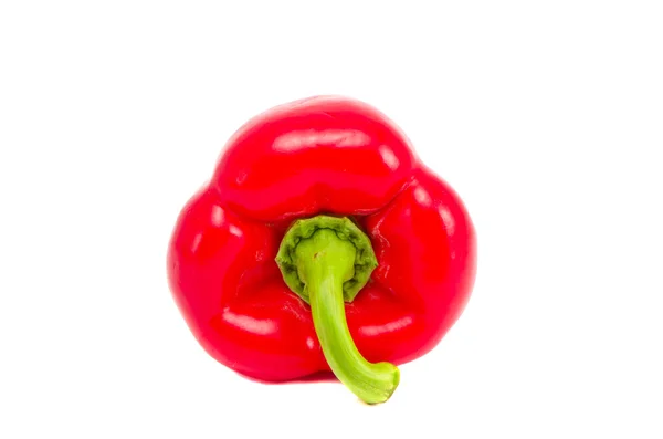 Röd paprika isolerad på vit bakgrund — Stockfoto