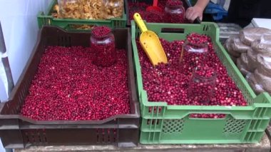 mantar ve kızılcık Güz Fuarı